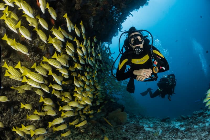 Deep Dive Dubai