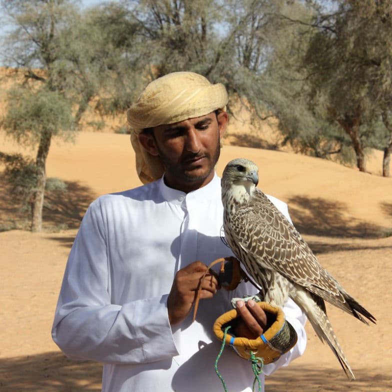 رحلات السفاري الصحراوية الصباحية: تجربة ركوب الدراجات الرباعية والتزلج على الرمال وركوب الجمال view 2